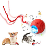 Rechargeable Smart Pet Interactive Toy