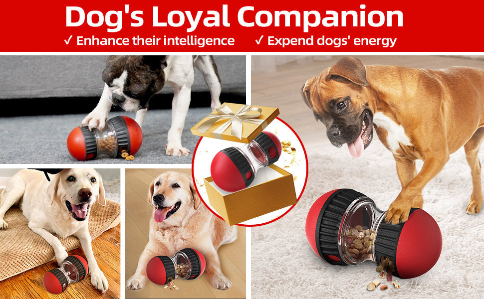 Dog Food Dispenser Ball