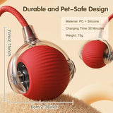 Rechargeable Smart Pet Interactive Toy