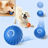 Pet Toy Ball Automatic Moving
