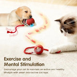 Rechargeable Smart Pet Interactive Toy